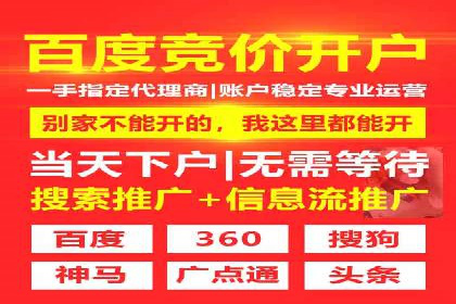 SEM实战案例：案例分析广告效果评估